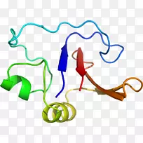 �ߵ������-��-������