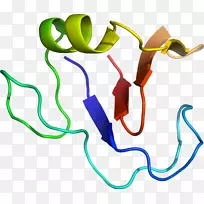 �ߵ������-��-������