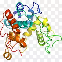 生物线动物剪贴画线-空若网 生物线动物剪贴画线-空若网