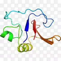 �ߵ������-��-������