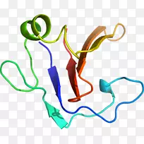 �ߵ������-��-������