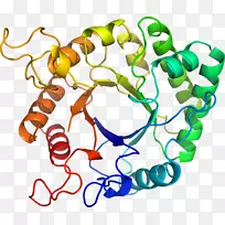 人体首饰有机体线剪贴画线-空若网 人体首饰有机体线剪贴画线-空若网
