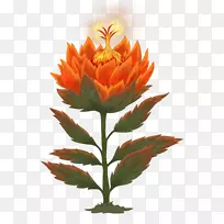 ����ֲ�ﻨ��ֲ�ﾥ�ݱ�ֲ��Ұ���＾-������