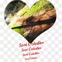 Ҷ����-Ramazan Bayram?-������