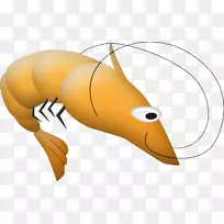 Caridea昆虫剪贴画-空若网 Caridea昆虫剪贴画-空若网