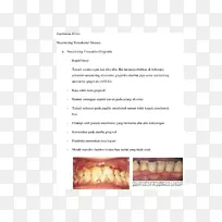 ʳ���°�-������