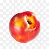 ����ˮ�������������������Ѳ���-������