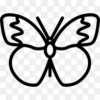 帝王蝴蝶昆虫计算机图标昆虫-空若网 帝王蝴蝶昆虫计算机图标昆虫-空若网