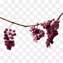 ��ͨ�����ٱ���ե֭-������