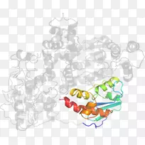 树食剪贴画-树-空若网 树食剪贴画-树-空若网
