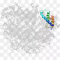 ���ߵ������-��-������