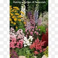 农舍花园多年生植物花卉园林植物-空若网 农舍花园多年生植物花卉园林植物-空若网