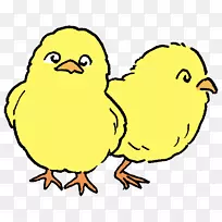 鸟嘴动物野生动物鸡作为食物剪贴画.动物训练-空若网 鸟嘴动物野生动物鸡作为食物剪贴画.动物训练-空若网