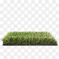 ��ƺ�����ƺ���ݳ�Ʒ��Ӿ��-�ٲ�-������