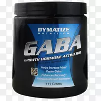 ��ʳ�����-��-�������ᡢ�˶�Ӫ�������������-������