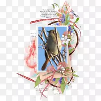 ͼÐÎÉè¼Æ-ÔùËÍ-¿ÕÈôÍø ͼÐÎÉè¼Æ-ÔùËÍ-¿ÕÈôÍø