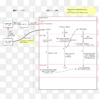 ֱ�ߵ����-������