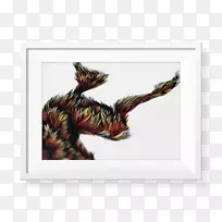 动物群羽毛-空若网 动物群羽毛-空若网