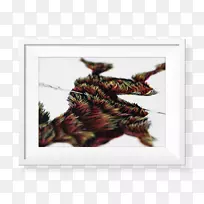 ����-������