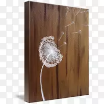 木/米/083 vt-水色蒲公英-空若网 木/米/083 vt-水色蒲公英-空若网