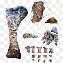 �Ź�ͷ�޼�������֯������-������