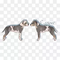 ����ֳ������-����-������