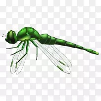 昆虫蜻蜓剪贴画-蜻蜓艺术-空若网 昆虫蜻蜓剪贴画-蜻蜓艺术-空若网
