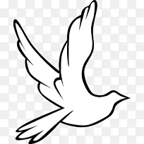 秋葵科动画画片艺术-圣诞节鸽子剪贴画-空若网 秋葵科动画画片艺术-圣诞节鸽子剪贴画-空若网