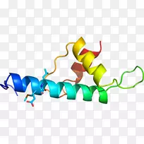 有机体平面设计剪贴画设计-空若网 有机体平面设计剪贴画设计-空若网