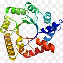 人体珠宝线有机体剪贴画线-空若网 人体珠宝线有机体剪贴画线-空若网