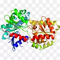 蔬菜艺术水果剪贴画-蔬菜-空若网 蔬菜艺术水果剪贴画-蔬菜-空若网