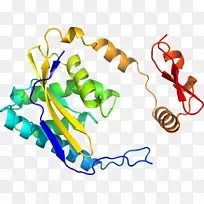 直线点植物茎夹艺术线-空若网 直线点植物茎夹艺术线-空若网