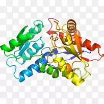 人体首饰有机体线剪贴画线-空若网 人体首饰有机体线剪贴画线-空若网