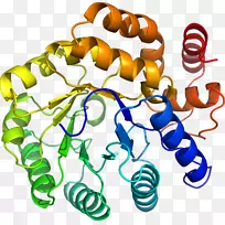 人体首饰有机体线剪贴画线-空若网 人体首饰有机体线剪贴画线-空若网