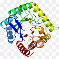 ���������л����߼�������-������