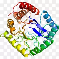 人体首饰有机体线剪贴画线-空若网 人体首饰有机体线剪贴画线-空若网