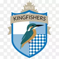 鸟嘴品牌标志剪贴画翠鸟标志-空若网 鸟嘴品牌标志剪贴画翠鸟标志-空若网