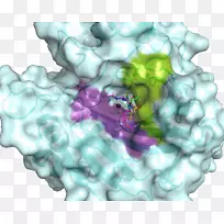 生物化学疏水哲学博士-空若网 生物化学疏水哲学博士-空若网