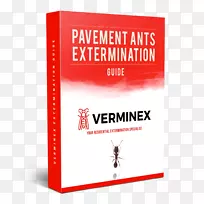 昨晚的品牌短信-蚂蚁窝-空若网 昨晚的品牌短信-蚂蚁窝-空若网