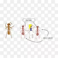 ���˼��������-������