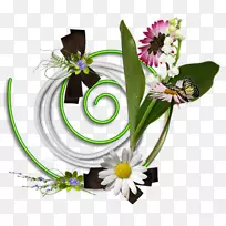 花卉设计玫瑰切花-玫瑰-空若网 花卉设计玫瑰切花-玫瑰-空若网