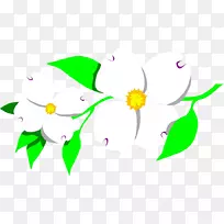 开花山茱萸、五倍子、剪贴画.插画-空若网 开花山茱萸、五倍子、剪贴画.插画-空若网