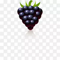 ���ѡ���ݮ����ȻʳƷ������ʳƷ-����-������