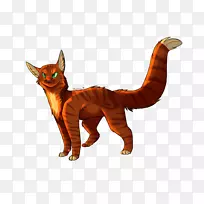 胡须猫野生动物尾松鼠-空若网 胡须猫野生动物尾松鼠-空若网