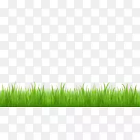 免费内容剪辑艺术-足球草剪贴画-空若网 免费内容剪辑艺术-足球草剪贴画-空若网