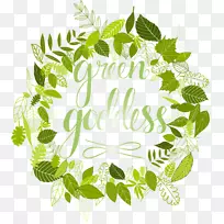 ����ֲ���̻���Ƽ��������-������