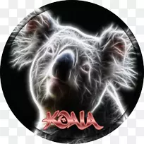 鼻袋动物-NCS标志-空若网 鼻袋动物-NCS标志-空若网