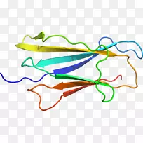 叶线点剪贴画-叶-空若网 叶线点剪贴画-叶-空若网