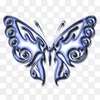 蝴蝶翅膀对称2米蝴蝶和蛾.蝴蝶-空若网 蝴蝶翅膀对称2米蝴蝶和蛾.蝴蝶-空若网