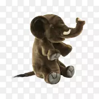 毛绒动物和可爱玩具狮子毛绒泰迪-赫尔曼-狮子-空若网 毛绒动物和可爱玩具狮子毛绒泰迪-赫尔曼-狮子-空若网